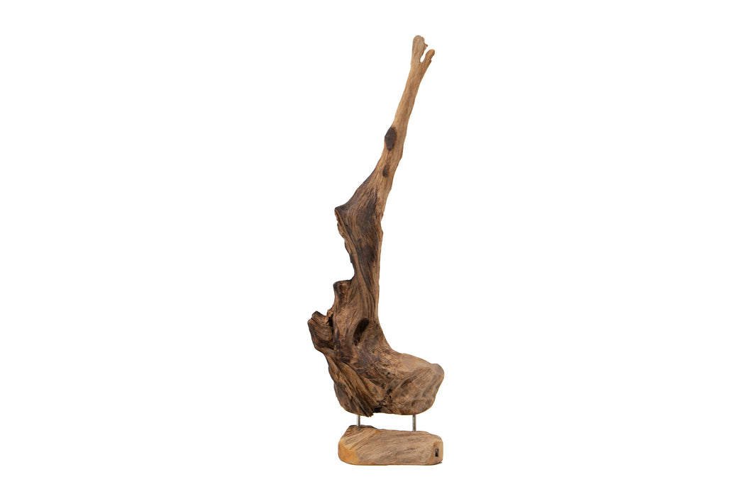 Teak Natural Driftwood Sculpture