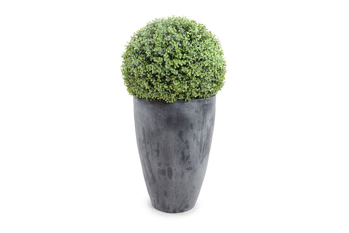 Enduraleaf Boxwood Ball in Tapered Planter