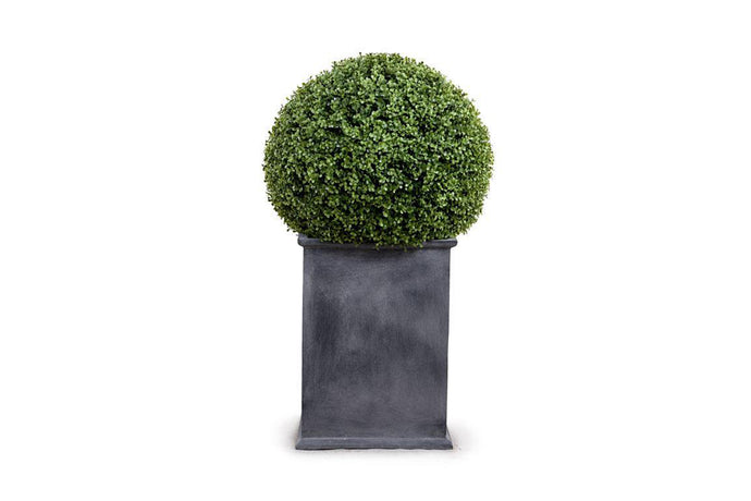 Enduraleaf Boxwood Ball in Column Planter w/ Lip