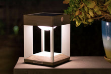 Les Jardins Blade Solar LED Table Light