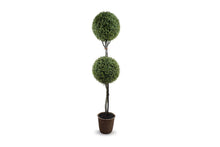 Enduraleaf Boxwood Ball Double Topiary