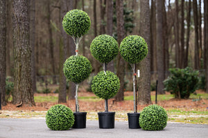 Enduraleaf 50"H Boxwood Ball Double Topiary