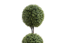 Enduraleaf Boxwood Ball Double Topiary