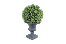 Enduraleaf 21"H Boxwood Ball in Urn