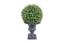 Enduraleaf 21"H Boxwood Ball in Urn