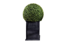 Enduraleaf Boxwood Ball in Column Planter w/ Lip