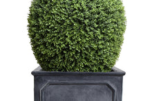 Enduraleaf 50"H Boxwood Lantern in Square Planter