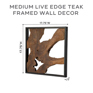 Teak Live Edge Framed Wall Decor