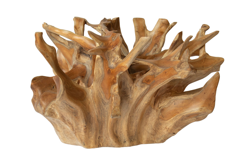 Teak Root Coffee Table