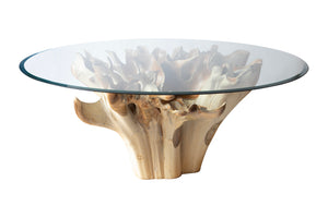 67" Teak Root Dining Table with Glass Top
