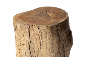 Teak Tree Stump End Table