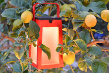 Les Jardins Tinka Outdoor Solar LED Lamp