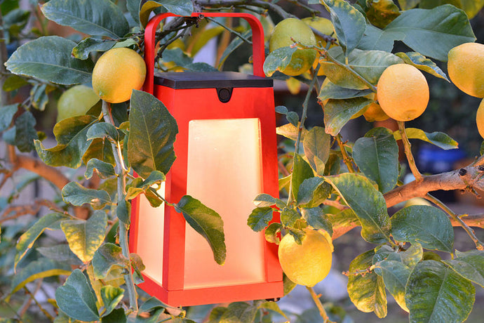 Les Jardins Tinka Outdoor Solar LED Lamp
